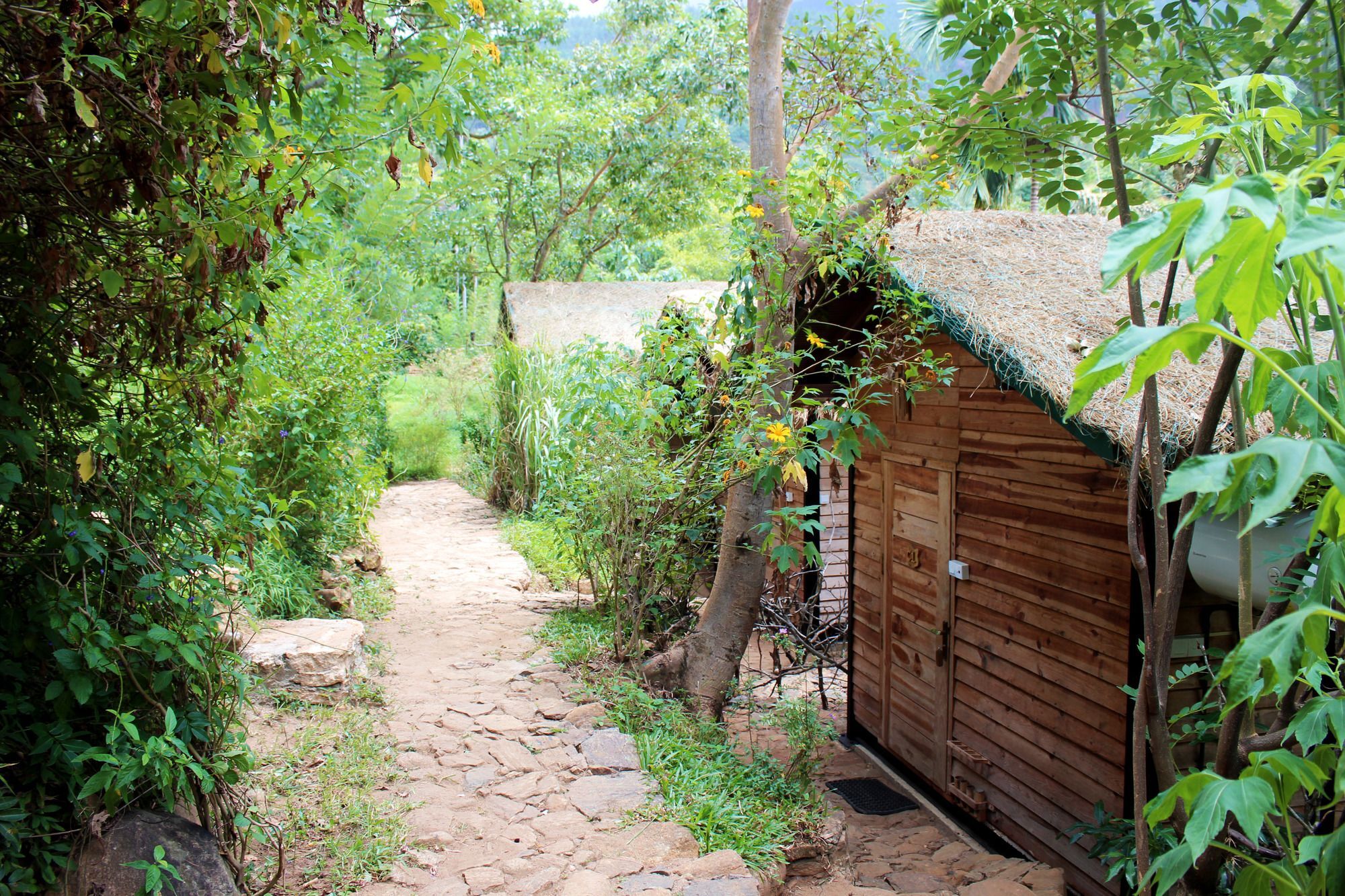 The Glenrock Wellness Nature Resort Белихул Оя Екстериор снимка