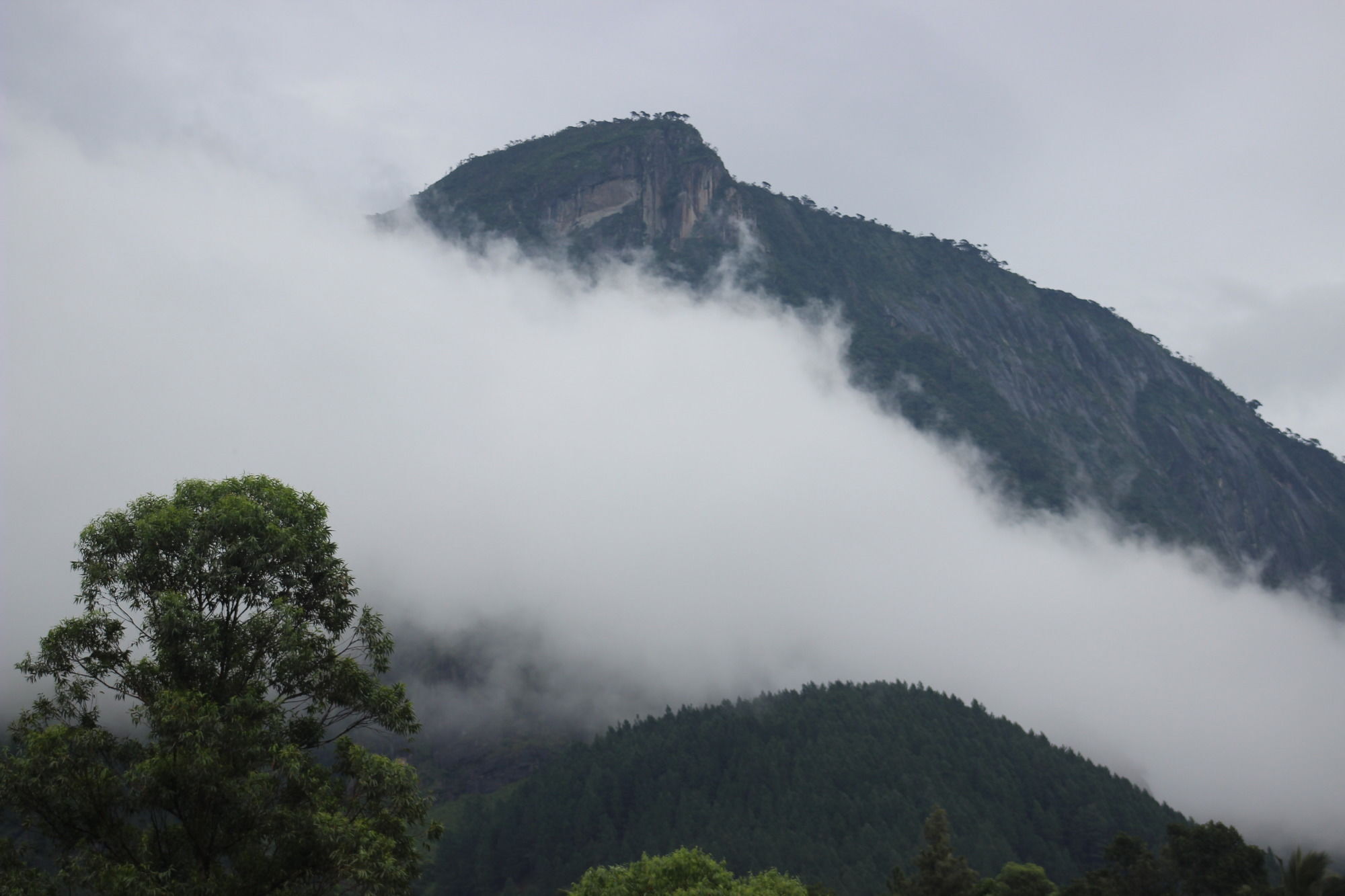 The Glenrock Wellness Nature Resort Белихул Оя Екстериор снимка